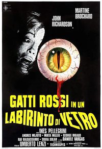 El ojo en la oscuridad