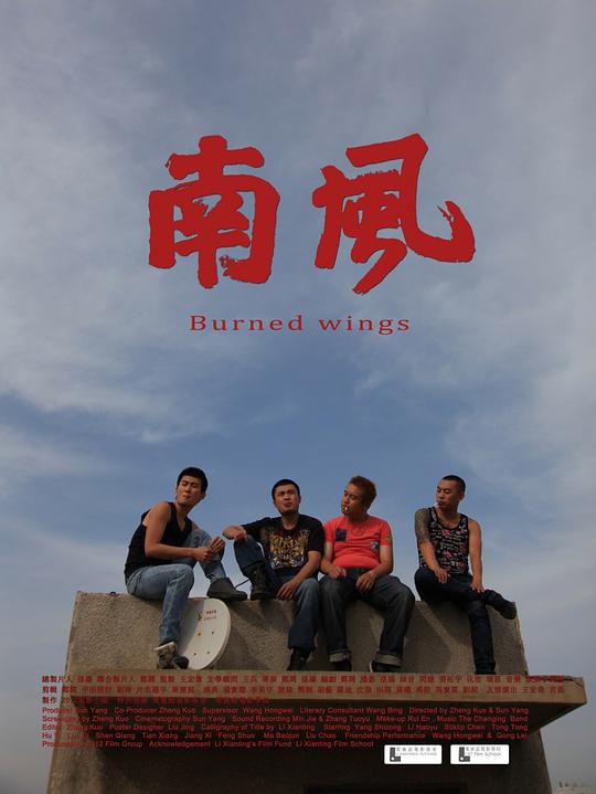 Burned wings