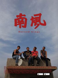 Burned wings