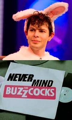 Never Mind the Buzzcocks (乐坛毒舌嗡嗡鸡 第二十季)