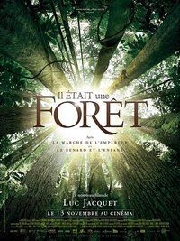 Once Upon a Forest