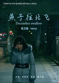 December Swallow