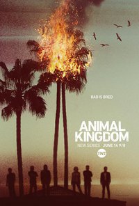 Animal Kingdom (野兽家族 第一季)