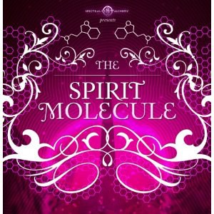 DMT: The Spirit Molecule