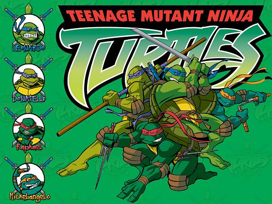 Teenage Mutant Ninja Turtles (忍者神龟 第一季)