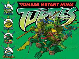 Teenage Mutant Ninja Turtles (忍者神龟 第一季)