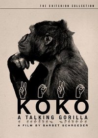 Koko: A Talking Gorilla