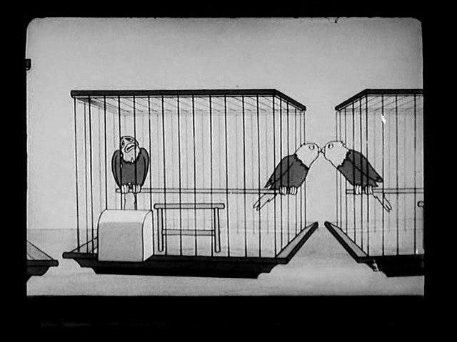 The Bird Store