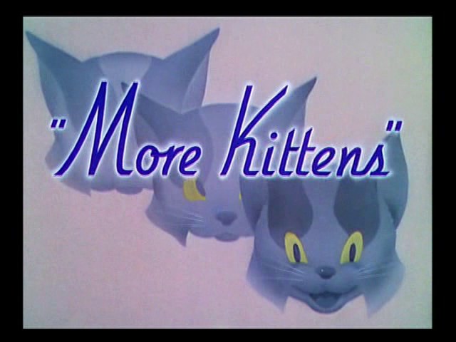 More Kittens