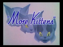More Kittens