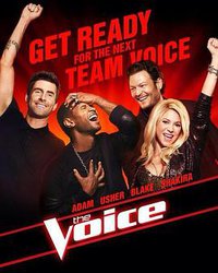 The Voice Staffel 4