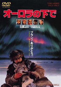 Under the Aurora
