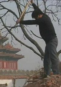 小子别太操蛋
