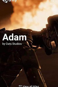 Adam: The Mirror