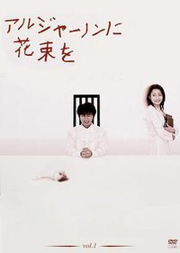献给阿尔吉侬的花束