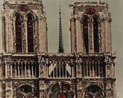 Dom