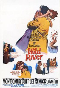 Wild River