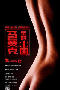 马赛克里的中国