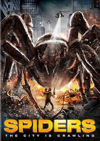 Spiders