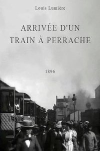 Arrival of a Train at Perrache