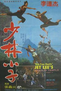 Die Brüder vom Shaolin-Tempel