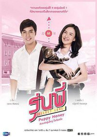 Secret Love Series: Puppy Honey