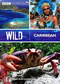 Wild Caribbean