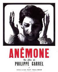 Anemone