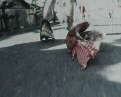 人間らっこ対かっぱ