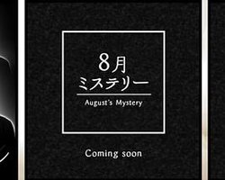 Stay Night Mystery