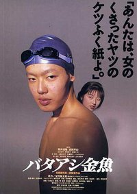 笨金鱼