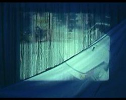 若妻 しとやかな卑猥
