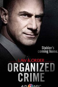 Law & Order: Organized Crime Staffel 1