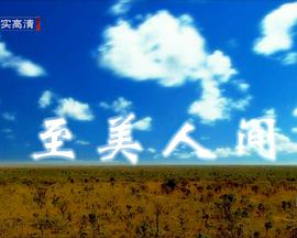 至美人间