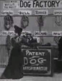 Dog Factory