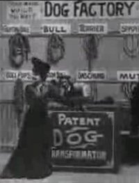 Dog Factory
