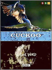 The Natural World: Cuckoo