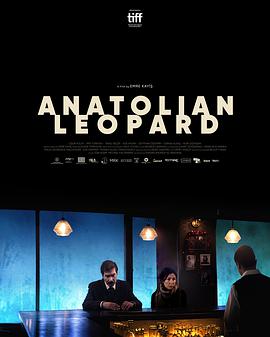 Anatolian Leopard