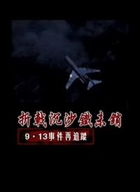 折戟沉沙铁未销：9·13事件追踪