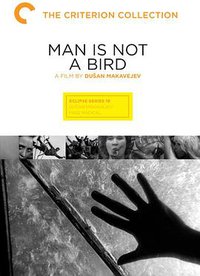 Man Is Not a Bird