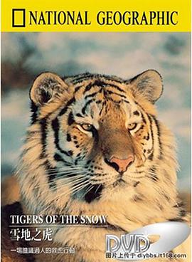 Tigers of the Snow