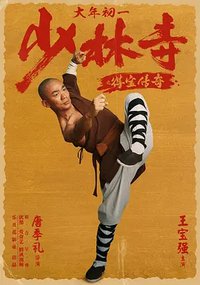 Rising Shaolin: The Protector