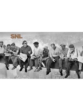 Saturday Night Live Louis C.K./Fun.