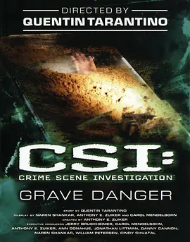 CSI: Crime Scene Investigation-Grave Danger