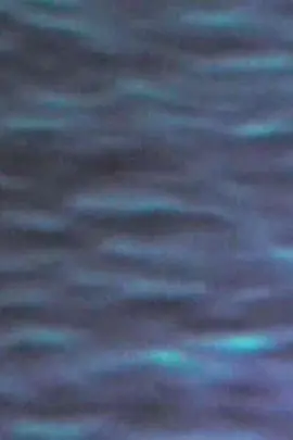 The Pacific Ocean