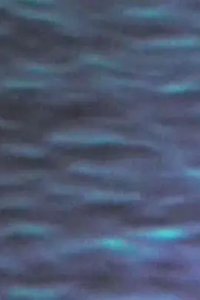 The Pacific Ocean