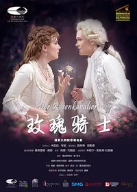 玫瑰骑士