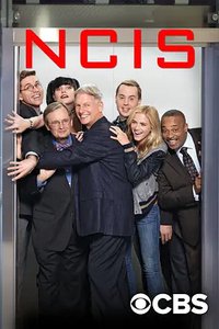 Investigação Criminal Temporada 14