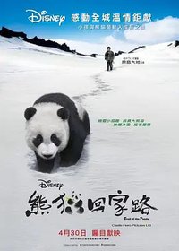 Touch of the Panda
