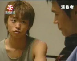 捕蝇纸